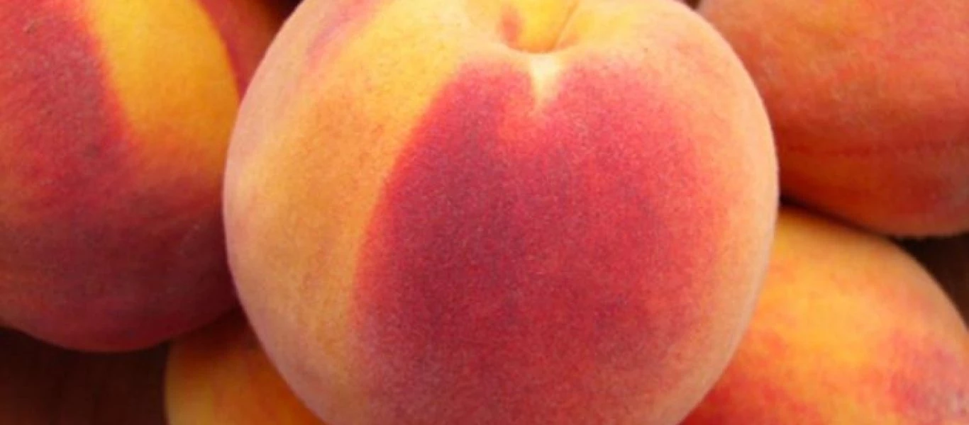 Πήρε ένα ροδάκινο και το πέταξε σε καυτό νερό!- Οταν δείτε το λόγο θα το κάνετε αμέσως... (βίντεο)